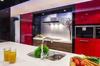 The Common kitchen extensions